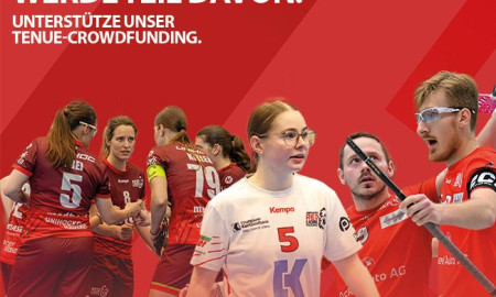 250 Spieler:innen. Ein Auftritt. Werde Teil davon. 🦁❤️ - Project image