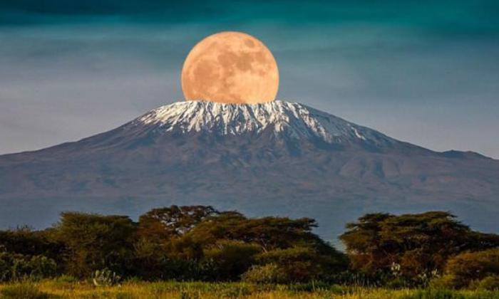 Anmeldegebühr: Kilimandscharo