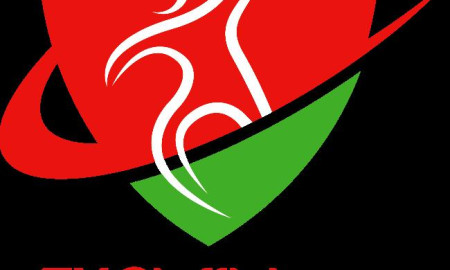 Sponsorenwettkampf TV Steffisburg Handball - Project image