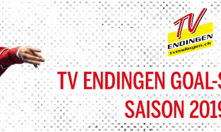 TV Endingen Goal-Sponsoring 2019/20 - Project image