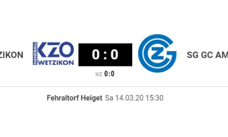 Torsponsoring: SG Wetzikon vs. SG GC Amicitia/Albis Foxes - Project image