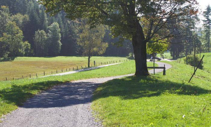Etappe 3: Zugerberg - Zug