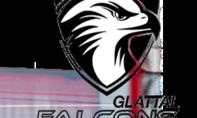 Glattal Falcons Sponsorenlauf 2023 - Project image
