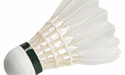 Badminton Sponsorenlauf 2025 - Project image