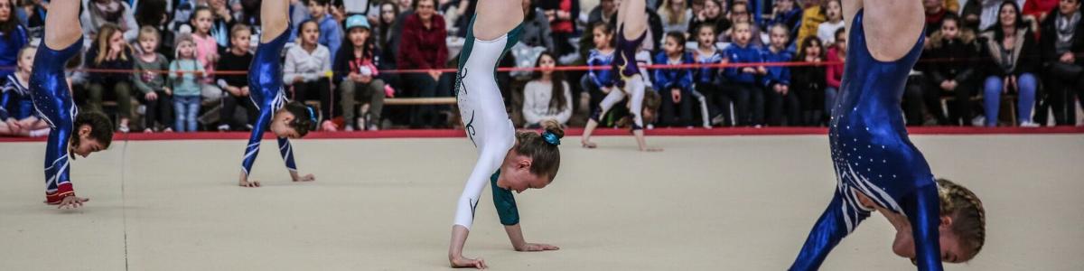 HASPOLA Kunstturnen Frauen