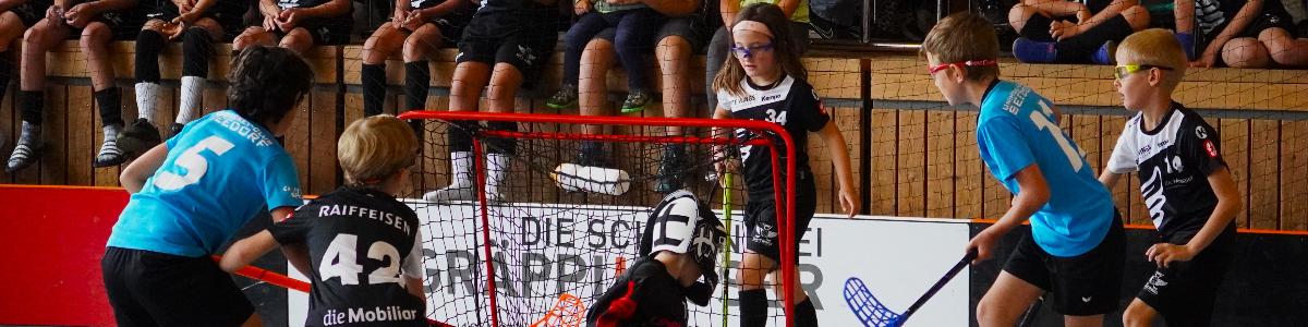 Punktesponsoring UHC Seedorf 2025/26