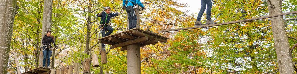 Ausflug in den Seilpark UNITED Zürich