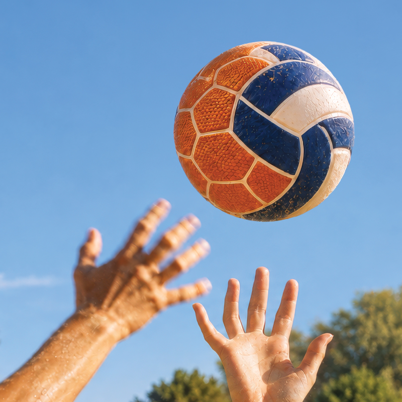 Crowdfunding Beachfeld Arbon
