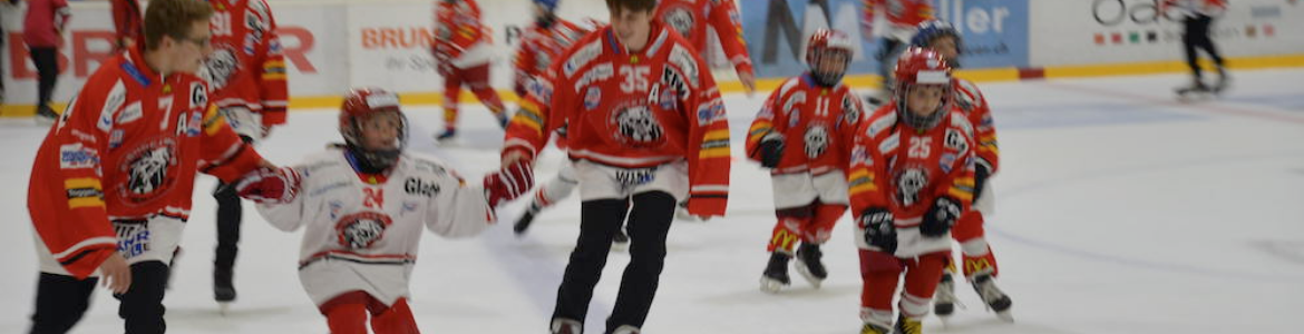 EHC Winterthur / Skateathon 2020