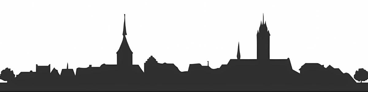 Sponsorenlauf Team Aarau 2026