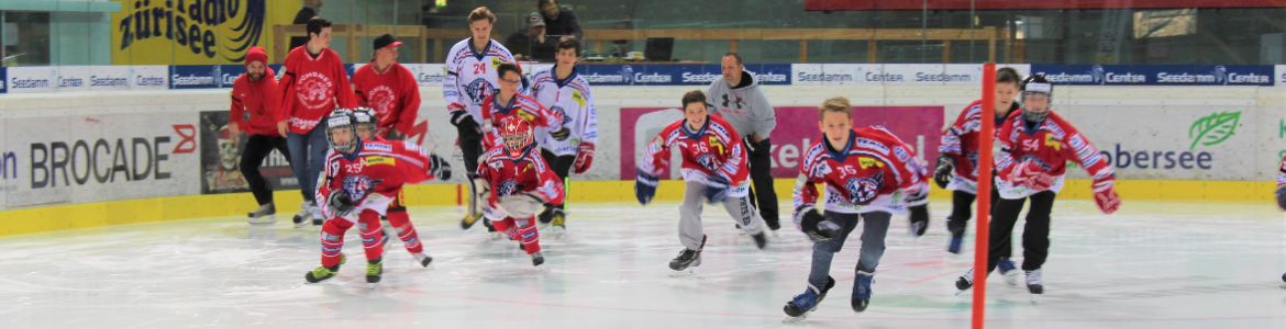 Skateathon 2021 - SCRJ Lakers Nachwuchs