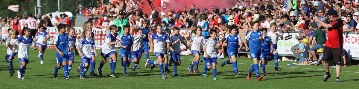 Sponsoren - Technikparcours / FC Frutigen Sponsoren - Technikparcours / FC Frutigen