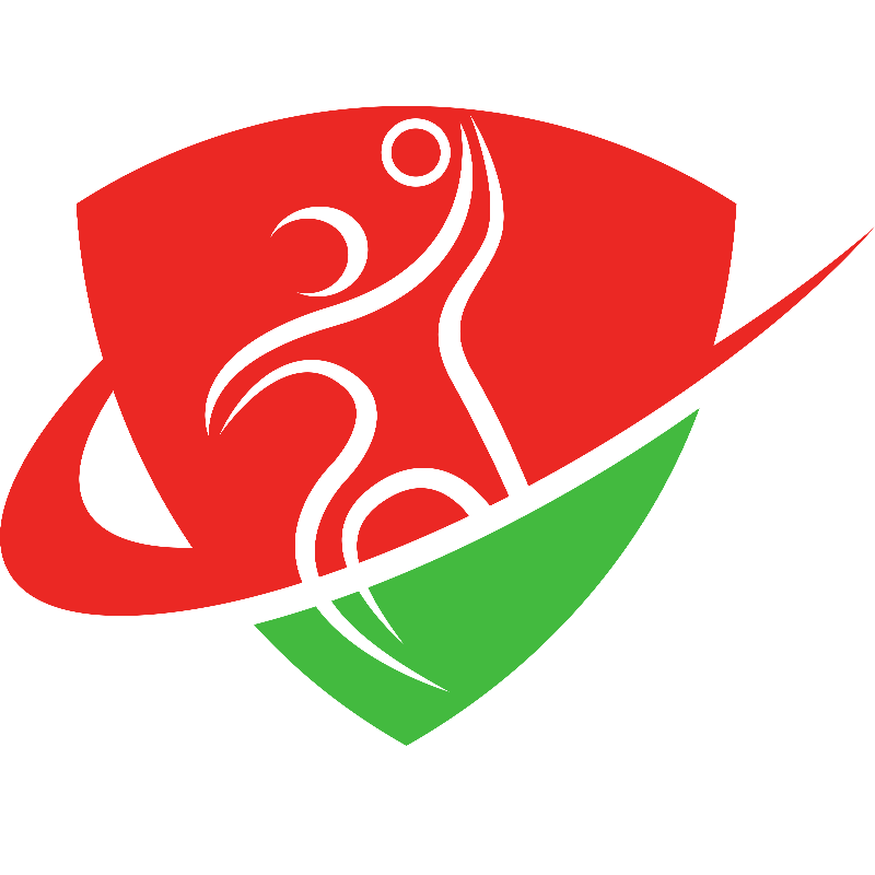 TV Steffisburg Handball