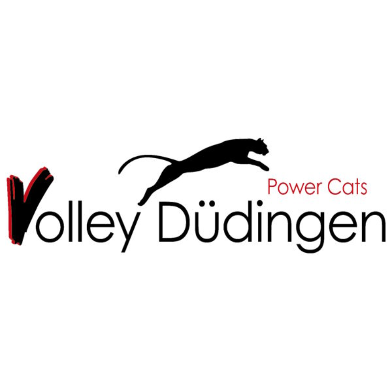 Volley Düdingen